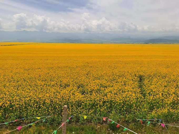 image13.jpeg image13.jpeg